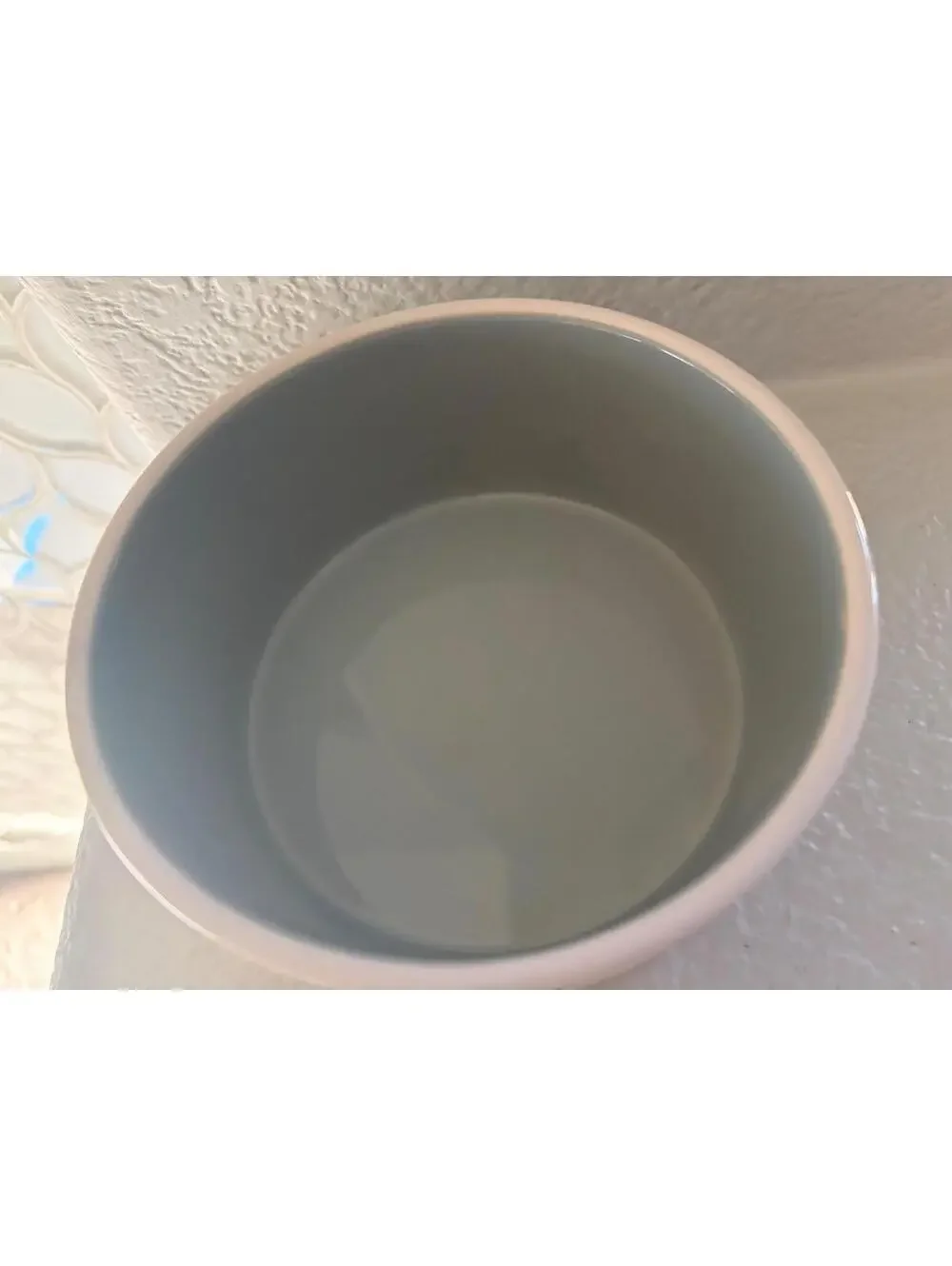 Rae Dunn Eat Up Dog/Pet Bowl White with grey inside 6